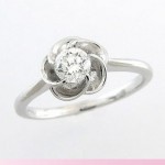 チェリーブロッサム