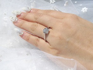 チェリーブロッサム01